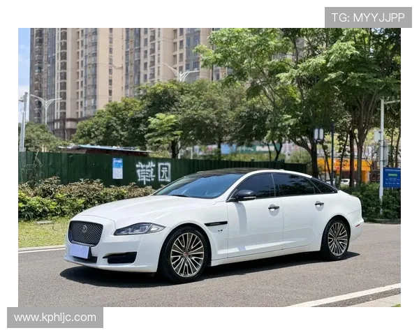 捷豹体育品牌发展战略解析：打造全球领先的高性能运动产品平台