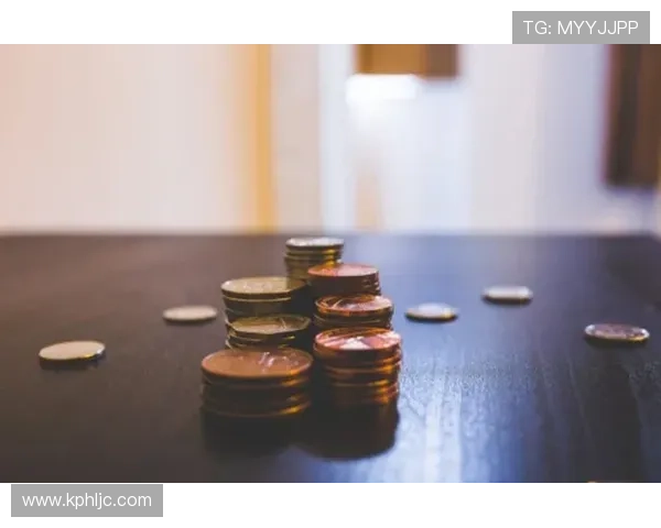 瑞丰国际引领全球投资趋势打造多元化产业新格局